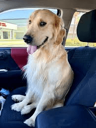 Charlie — original photo